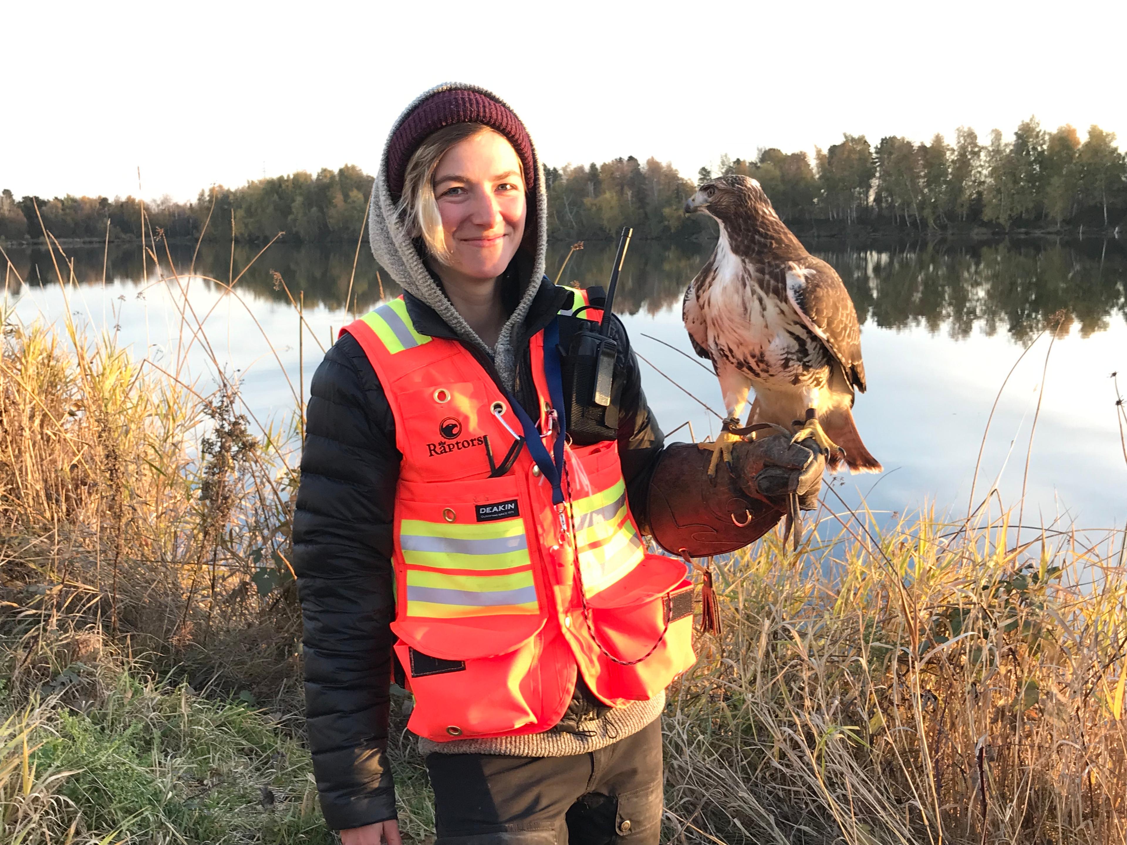 Woman in a red Raptors vest holding a red-tailed hawk