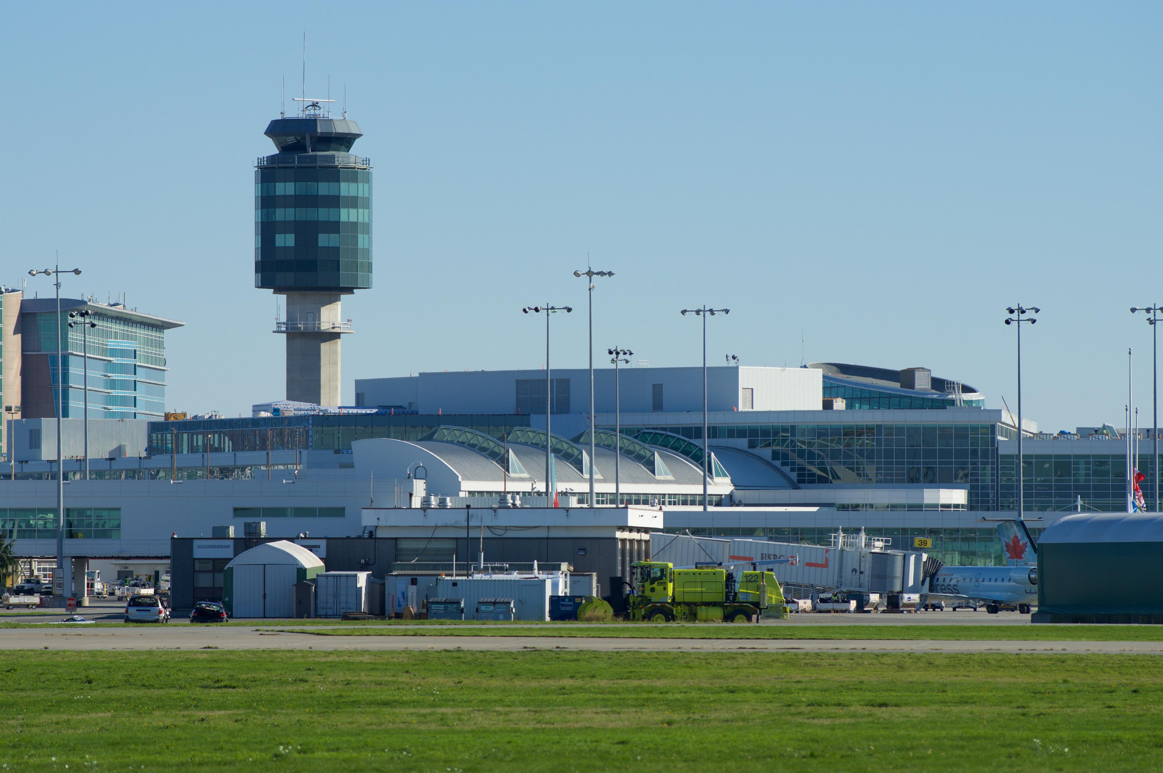 Close up image of a falcon on an airfield
