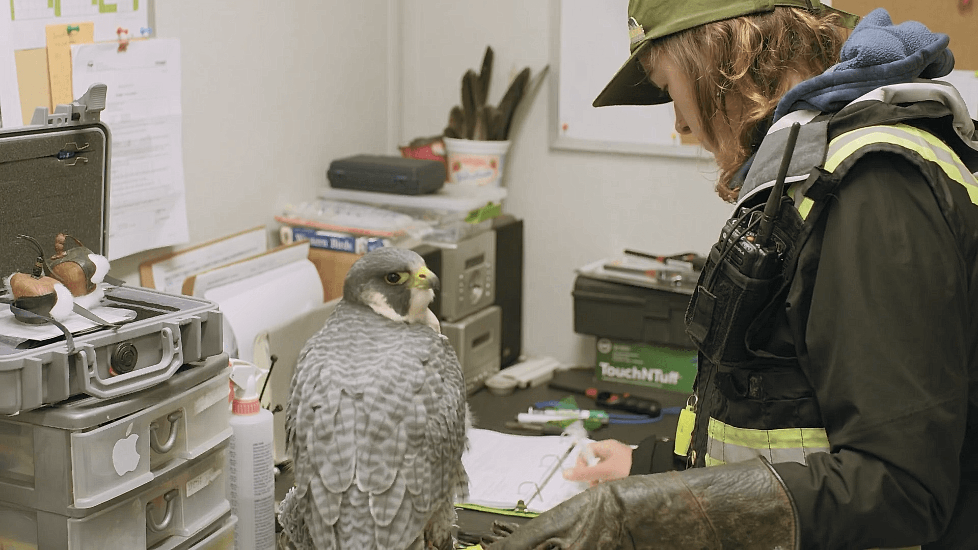 Raptors employee and a falcon log data in a book